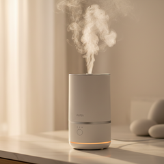 Collection image for: Home humidifier