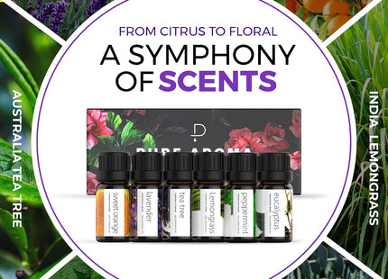 PURE AROMA Essential Oils 100% Pure Therapeutic Grade Oils Kit- Top 6 Aromatherapy Oils Gift Set-6 Pack, 10Ml(Eucalyptus, Lavender, Lemon Grass, Orange, Peppermint, Tea Tree)
